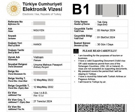Hướng dẫn làm eVisa Thổ Nhĩ Kỳ trực tuyến dễ dàng