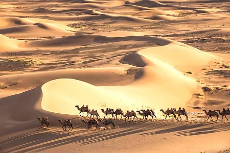 Sa mạc Gobi Mông Cổ – Theo dấu chân lạc đà trên cát