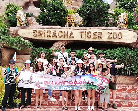 Trại Hổ Sriracha Tiger Zoo có gì? loài hổ Belgan nhiều nhất thế giới
