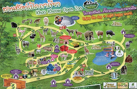 Khám phá Khao Kheow Open Zoo vườn thú đầu tiên ở Thái Lan