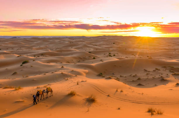 Sa Mạc Sahara