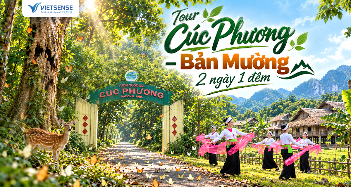 Tour Cúc Phương - Bản Mường - Team Building  2 Ngày 1 Đêm