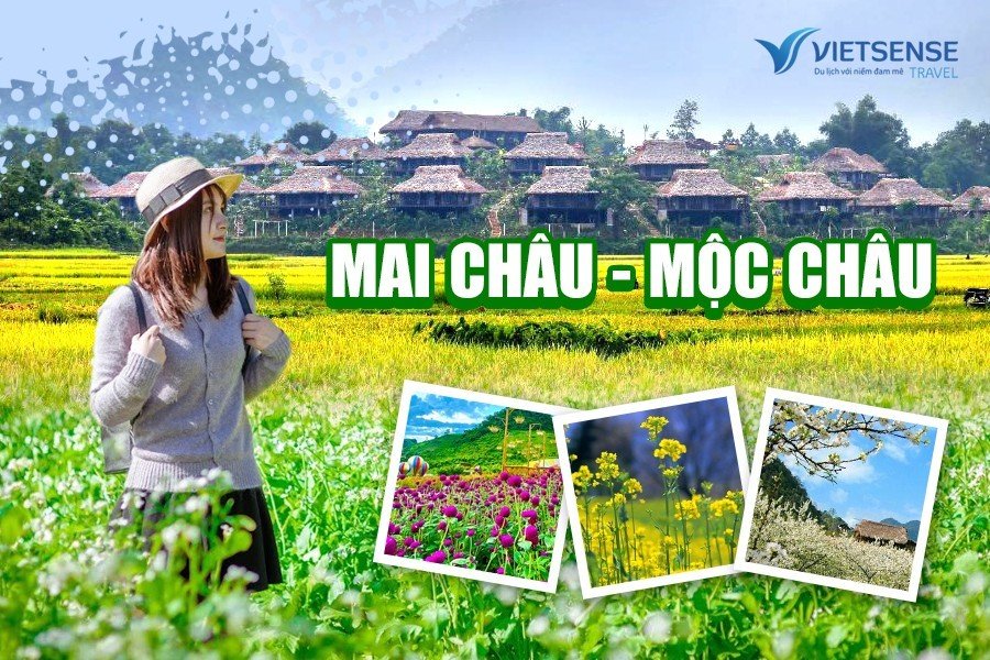 Tour Mai Châu - Mộc Châu mùa hồng treo gió 2 ngày 1 đêm