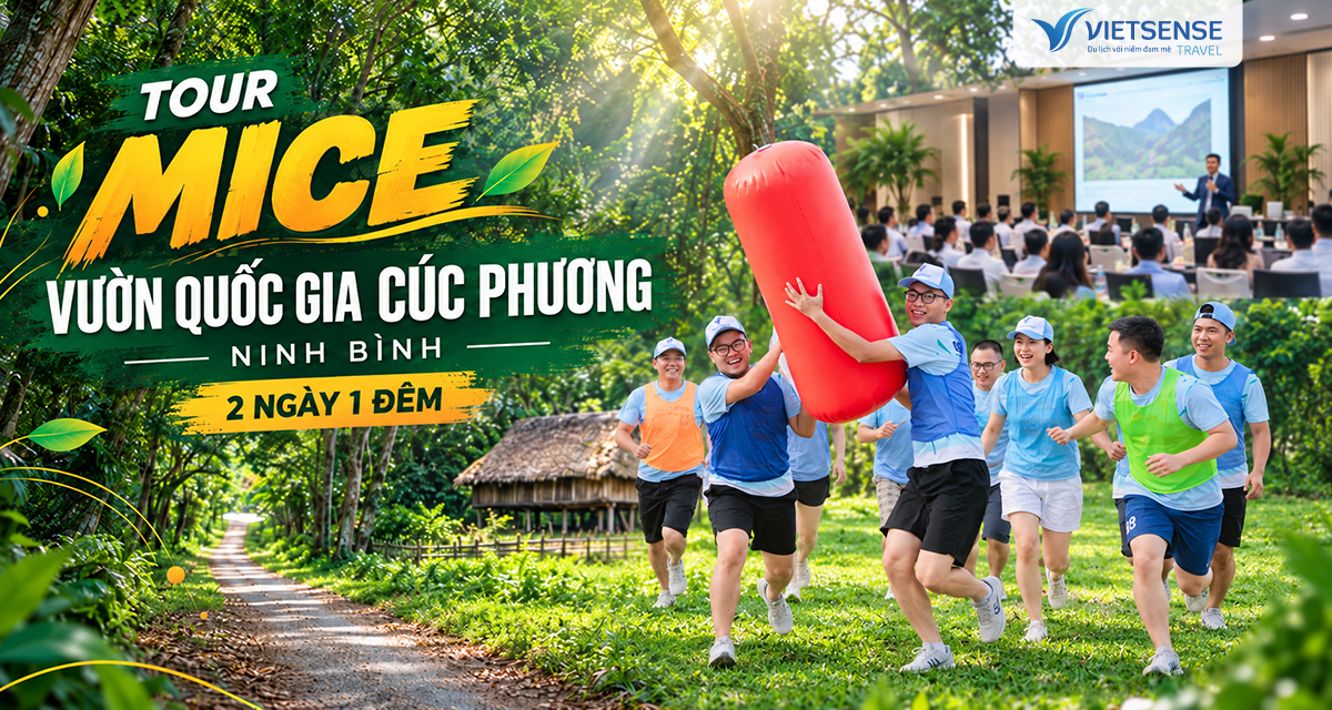 Tour MICE Vườn Quốc gia Cúc Phương - Ninh Bình 2 ngày 1 đêm giá tốt