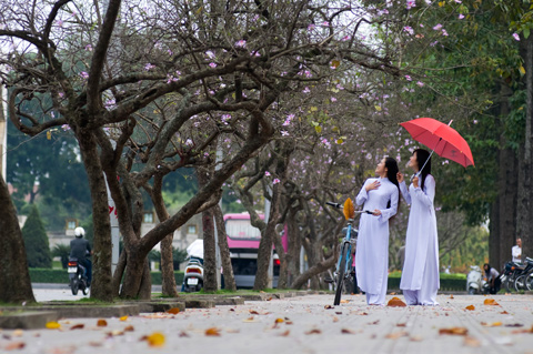 City Tour Vòng Quanh Hà Nội - 1 Ngày