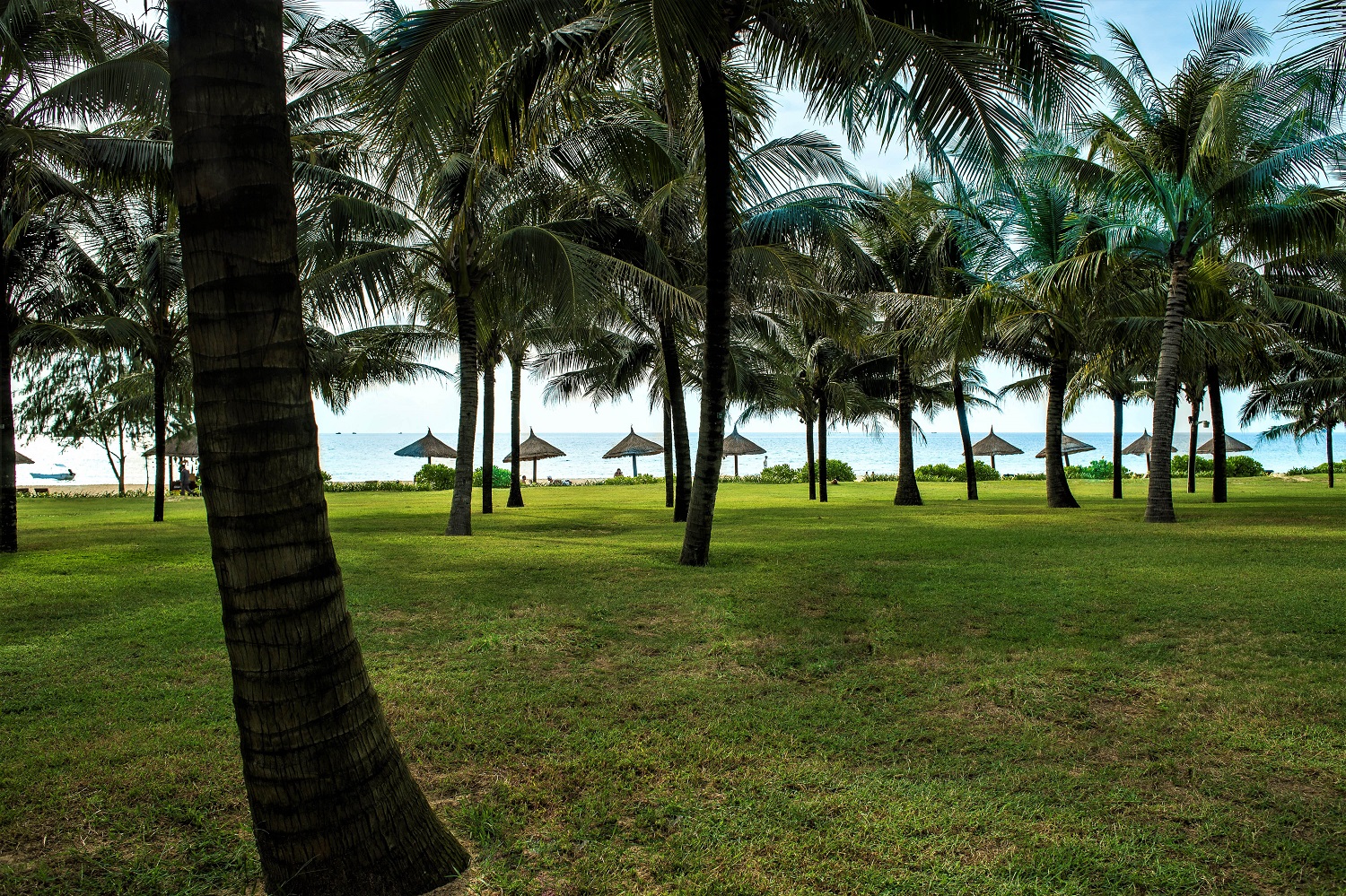 Combo Radisson Blu Resort Phú Quốc