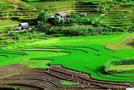 Du Lịch Điện Biên Phủ 4 Ngày 3 Đêm