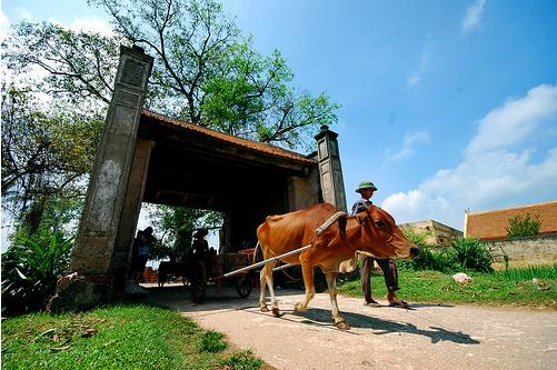 Du Lịch Hà Nội: Làng Cổ Đường Lâm - Chùa Mía - Đền Va