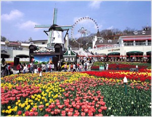 Du Lịch Hàn Quốc: Hà Nội - Seoul - Đảo Jeju - Everland
