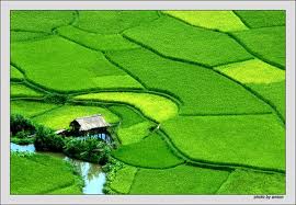 Du Lịch Miền B ắc: Hà Nội - Mai Châu 2 Ngày 1 Đêm