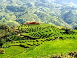Du Lịch Miền Bắc: Hà Nội – Ninh Bình (Bái Đính, Tam Cốc) – Hạ Long – Yên Tử - Sa Pa