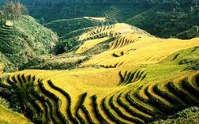 Du Lịch Miền Bắc: Hà Nội – Ninh Bình (Bái Đính, Tam Cốc) – Hạ Long – Yên Tử - Sa Pa