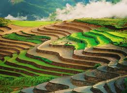 Du Lịch Miền Bắc: Hà Nội – Sa Pa – Bản Cát Cát – Thác Bạc