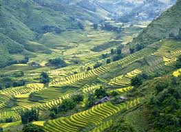 Du Lịch Miền Bắc: Hà Nội – Sa Pa – Bản Cát Cát – Thác Bạc
