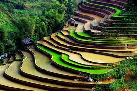 Du Lịch Miền Bắc: Hà Nội – Sa Pa – Bản Cát Cát – Thác Bạc