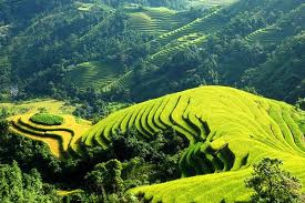 Du Lịch Miền Bắc: Hà Nội – Sa Pa – Bản Cát Cát – Thác Bạc