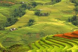 Du Lịch Miền Bắc: Hà Nội – Sa Pa – Bản Cát Cát – Thác Bạc