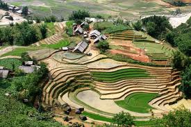 Du Lịch Miền Bắc: Hà Nội – Sa Pa – Bản Cát Cát – Thác Bạc