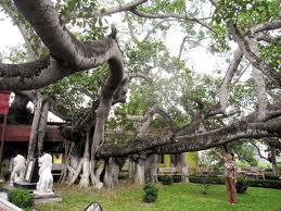 Du Lịch Miền Bắc: Hà Nội - Đền Hùng - Suối khoáng nóng Thanh Thuỷ 2 ngày 1 đêm