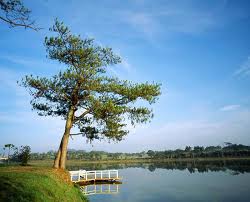 Du Lịch Miền Nam: Hà Nội – TP HCM – Cần Thơ – Sóc Trăng – Bạc Liêu – Cà Mau