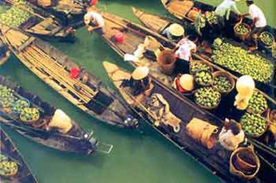 Du Lịch Miền Nam: Hà Nội Tp.HCM – Mỹ Tho – Bến Tre – Cần Thơ – Chợ Nổi – Nhà Vườn – Vườn Cò Bằng Lăng