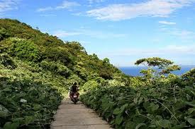 Du Lịch Miền Trung: Hà Nội – Huế - Lăng Cô - Đà Nẵng