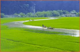Du Lịch Miền Trung: TP HCM - Đà Nẵng – Đồng Xanh – Đồng Nghệ - Tắm Bùn Phước Nhơn – Huế- Động Thiên Đường