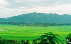 Du Lịch Miền Trung: TP HCM - Đà Nẵng – Đồng Xanh – Đồng Nghệ - Tắm Bùn Phước Nhơn – Huế- Động Thiên Đường