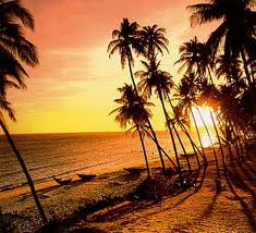 Du Lịch Mũi Né: Hà Nội – Cam Ranh – Mũi Né