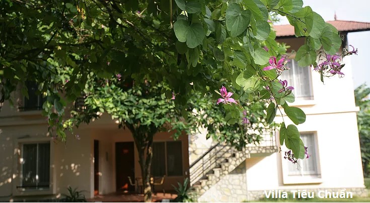 Du Lịch Nghỉ Dưỡng: V. Resort Hòa Bình