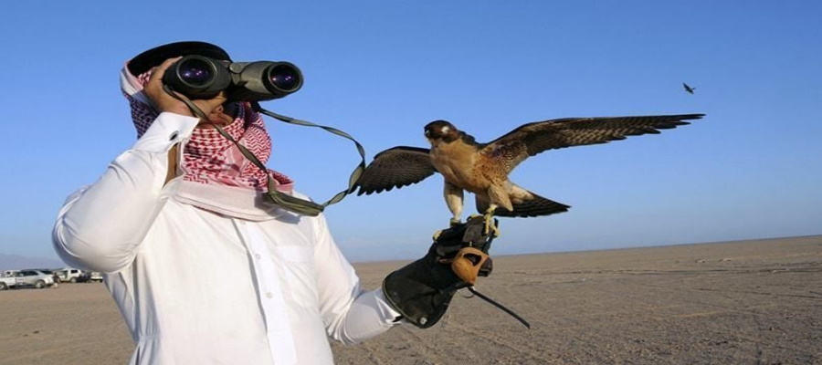 Du Lịch Qatar - Khám Phá Quốc Gia Vùng Vịnh Giàu Có Và Huyền Bí