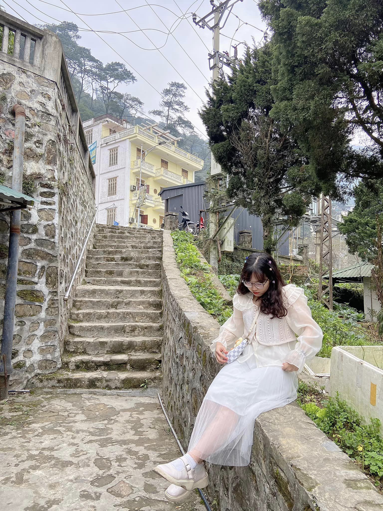 Du Lịch Tam Đảo: Chinh Phục Đỉnh Núi Tam Đảo