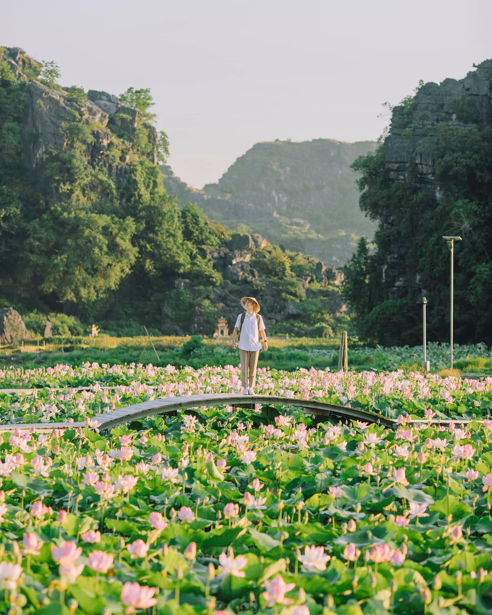 HÀ NỘI – HOA LƯ – TAM CỐC - HÀ NỘI
