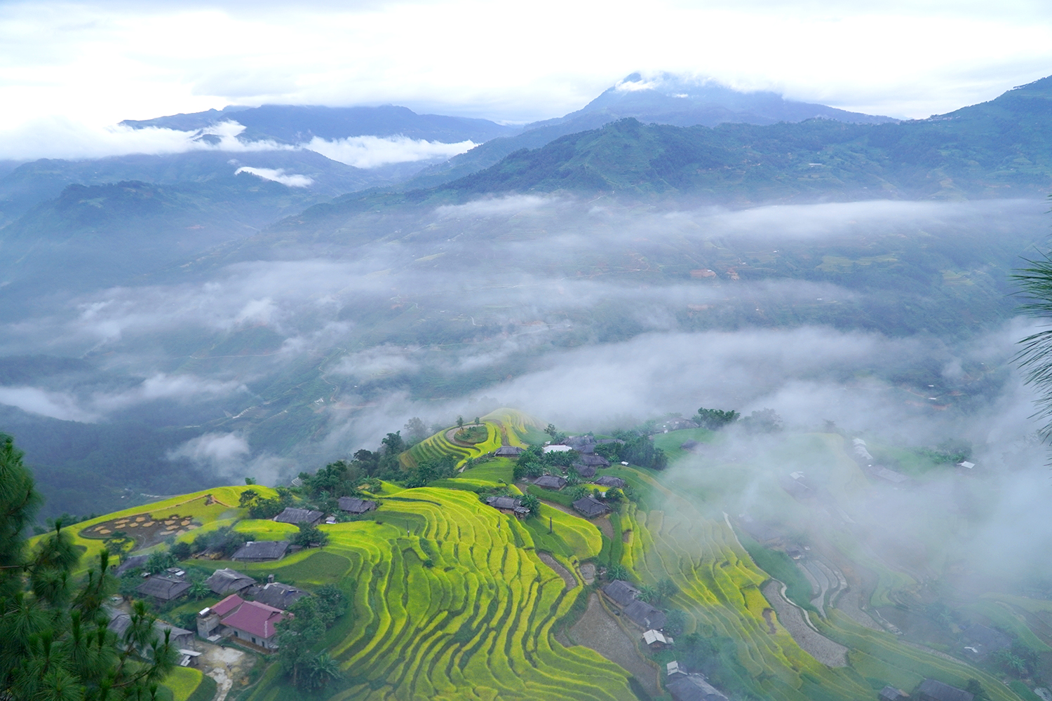 Hoàng Su Phì Mùa Lúa Chín