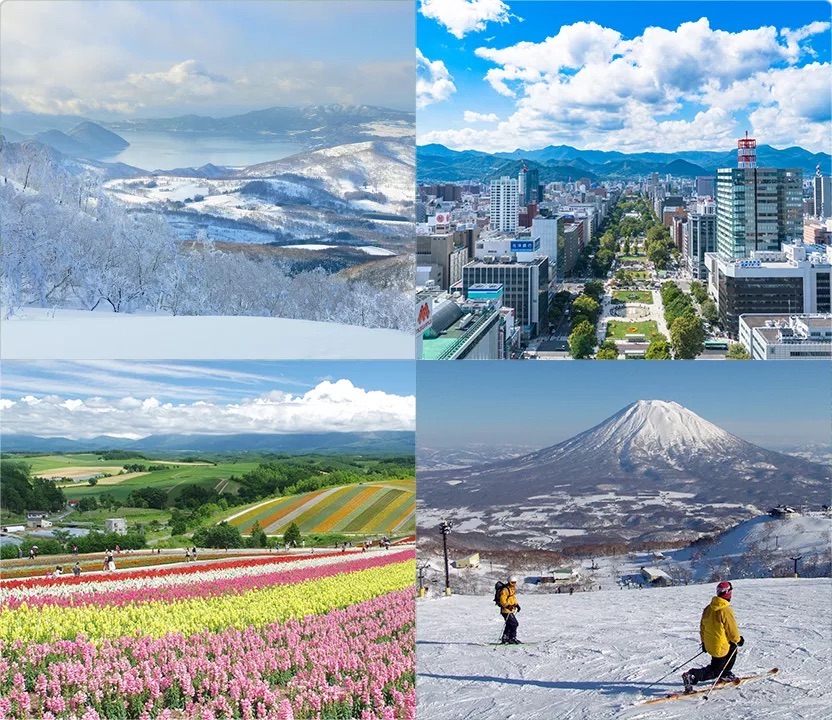 Hokkaido – Đồi hoa oải hương Furano - hồ xanh Biei 6 Ngày
