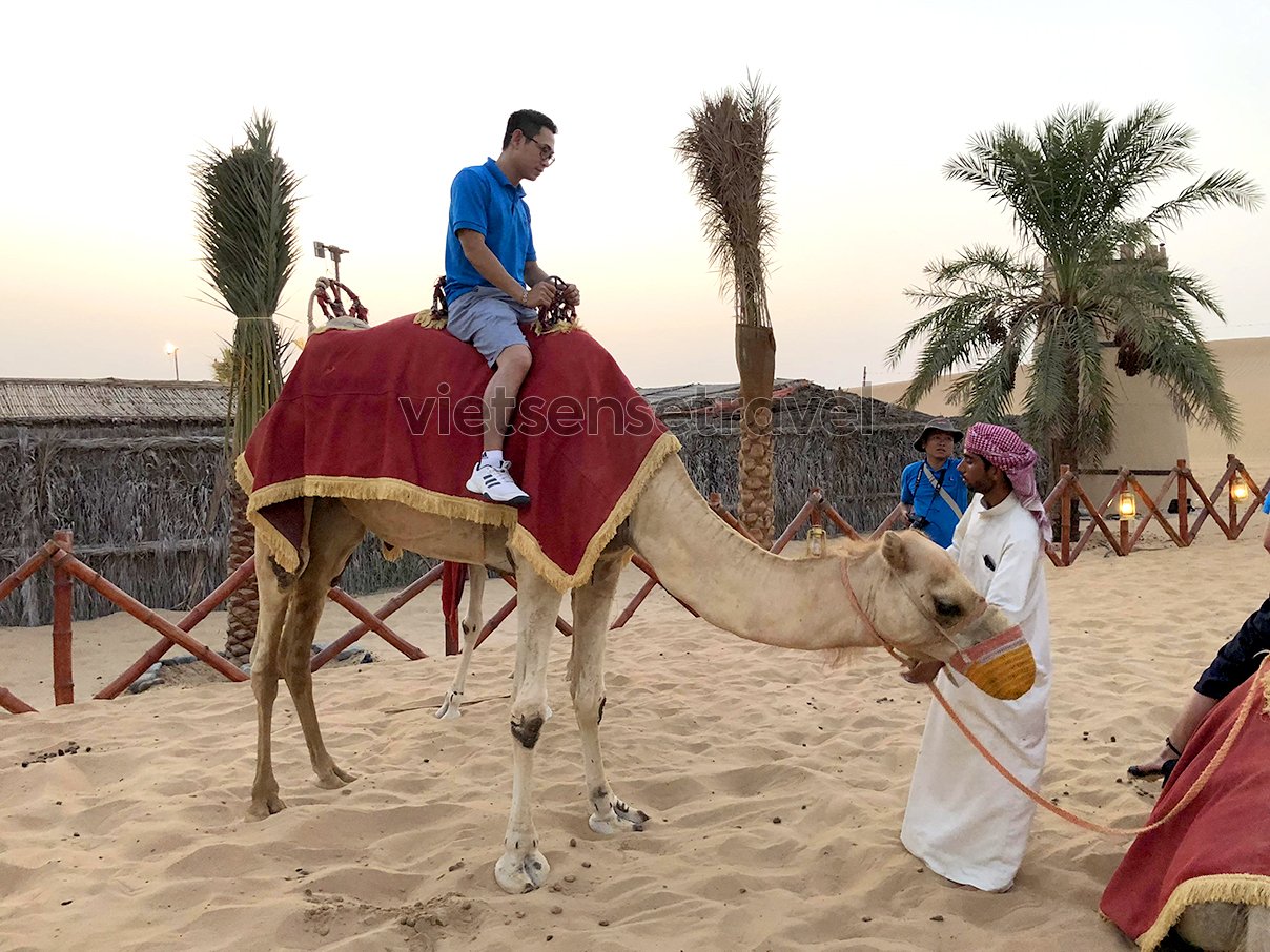 Khám phá Dubai - Abu Dhabi 5 Ngày 4 đêm