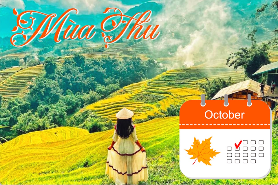 Lịch Khởi Hành Tour Miền Bắc dịp Thu Đông