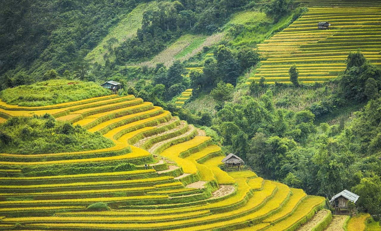 Lịch Khởi Hành Tour Miền Bắc dịp Thu Đông