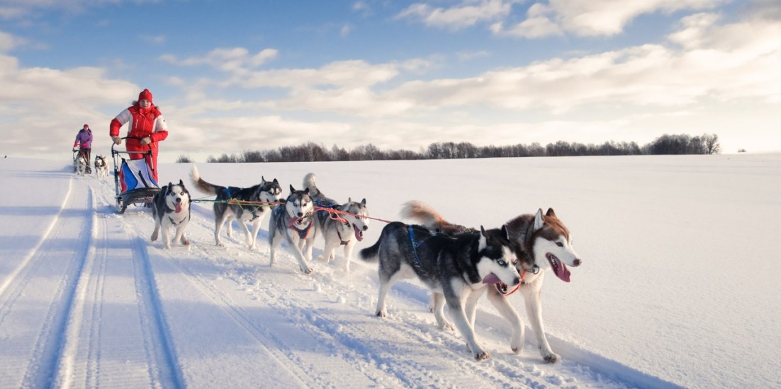 Murmansk – Kirovsk – Moscow