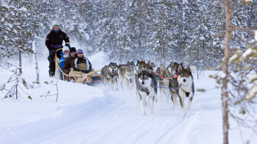 Murmansk – Kirovsk – Moscow