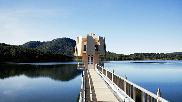 Top các tour du lịch Đà Lạt