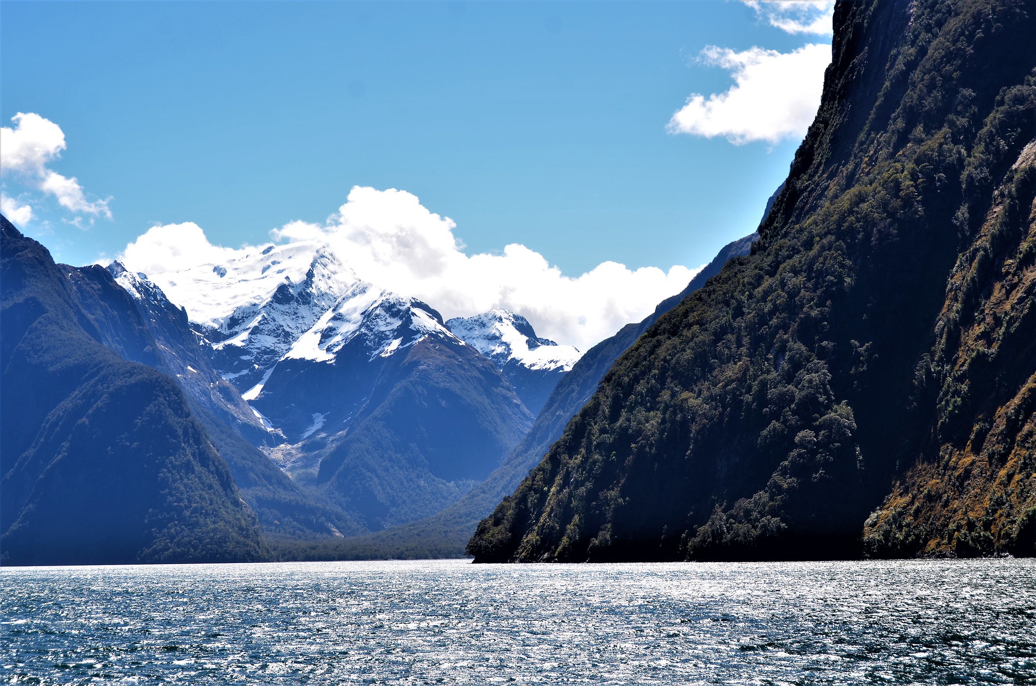 Tour 30/4-1/5 New Zealand