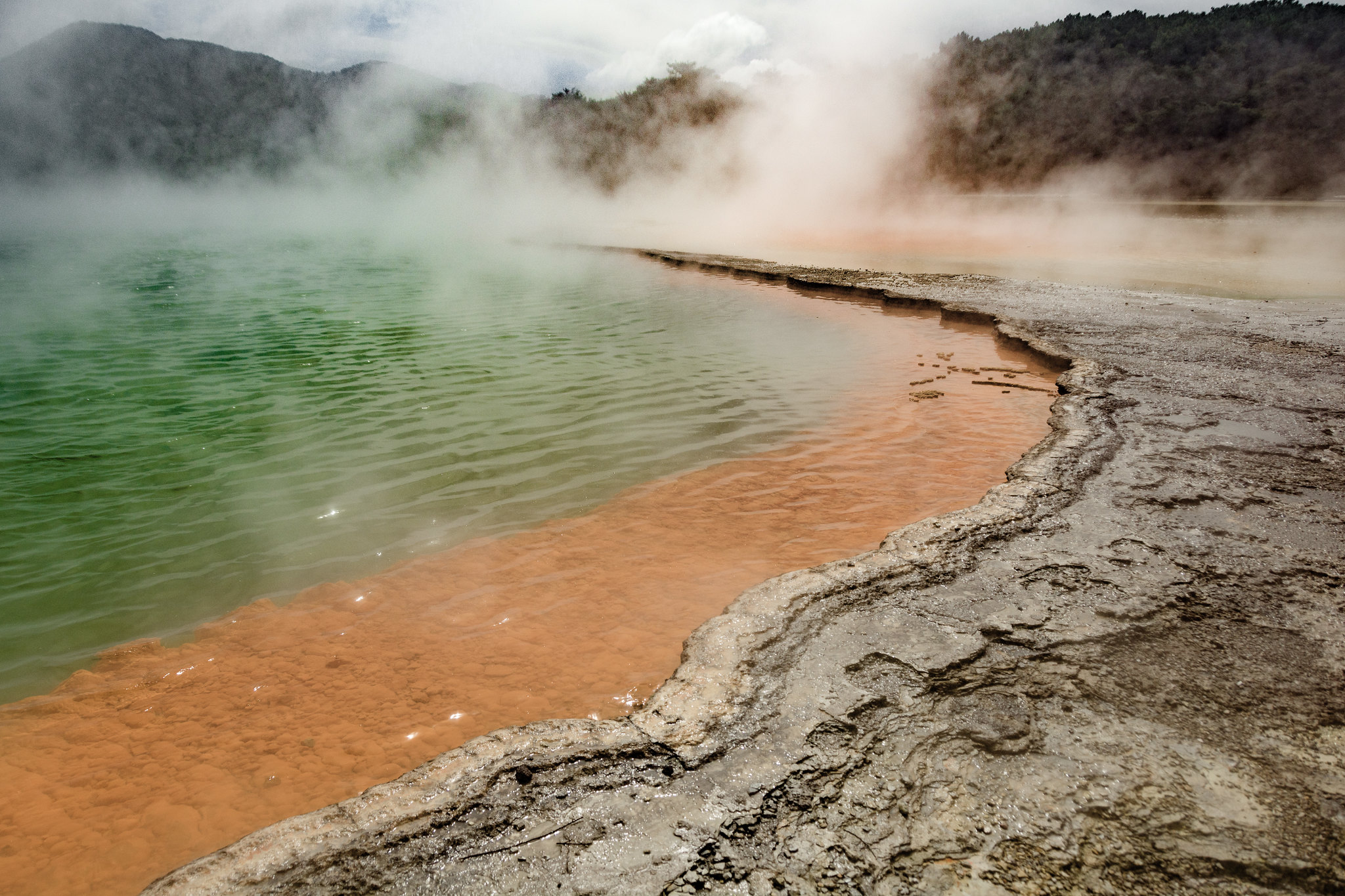 Tour Auckland - Waitomo - Taupo - Rotorua từ Hà Nội