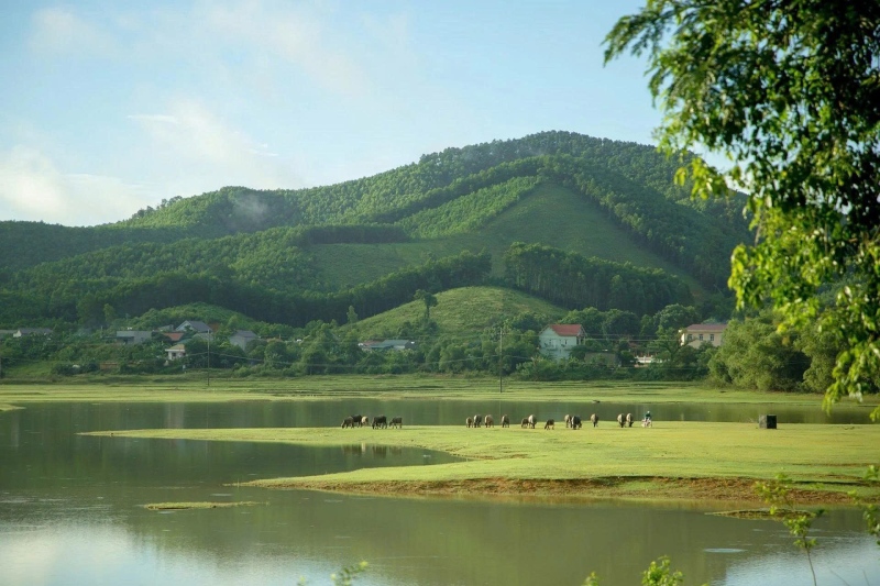Tour Bãi Đông Thanh Hóa 3 ngày 2 đêm trọn gói