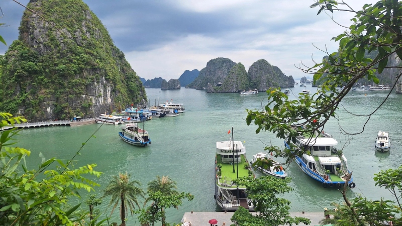 Tour biển Bãi Cháy Vịnh Hạ Long 3 ngày 2 đêm