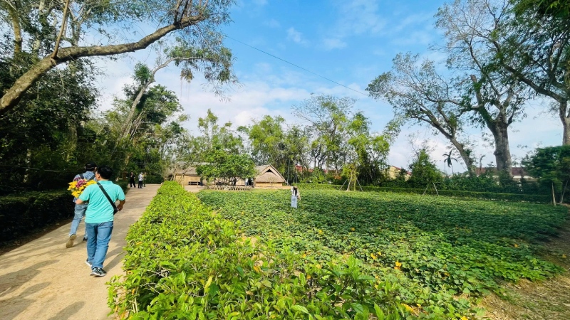 Tour biển Cửa Lò Quê Bác 3 ngày 2 đêm