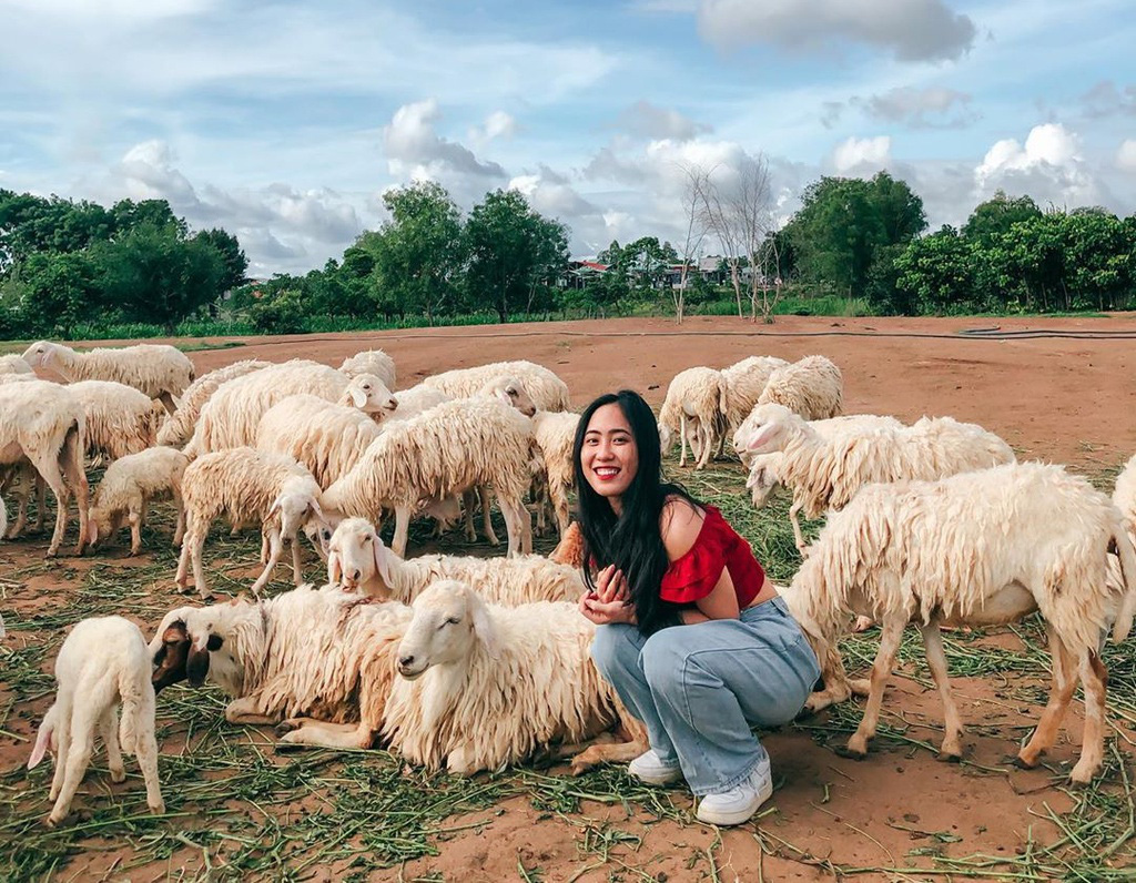Tour Biển Vũng Tàu 3 Ngày 2 Đêm