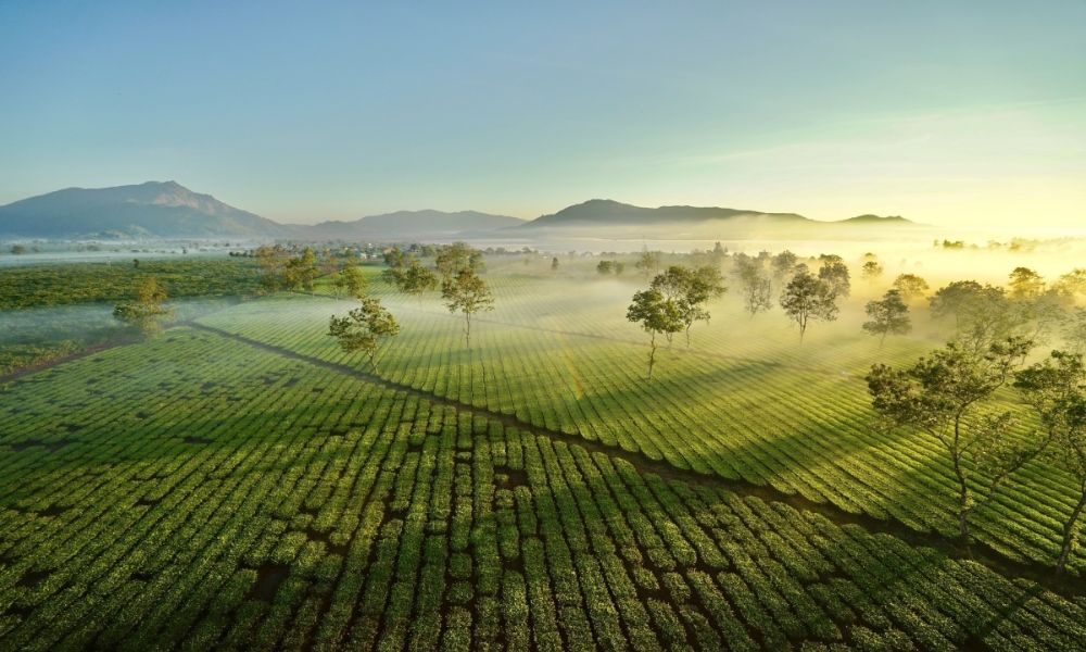 Tour Buôn Ma Thuột Gia Lai Kon Tum Măng Đen