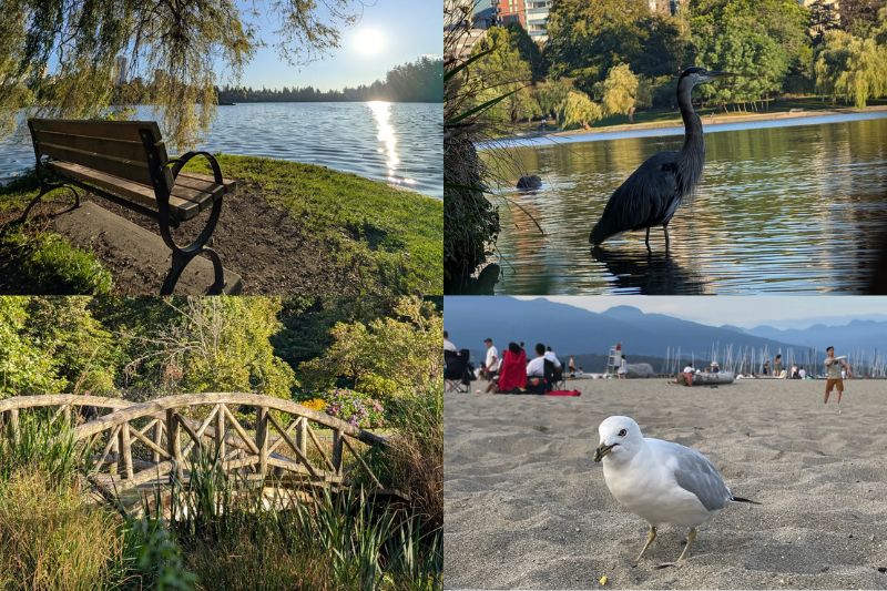 Tour Canada xem World Cup 2026: 3 Ngày 2 Đêm khám phá Vancouver