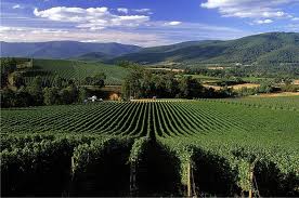 Tour Canberra - Sydney – Melbourne 8 Ngày